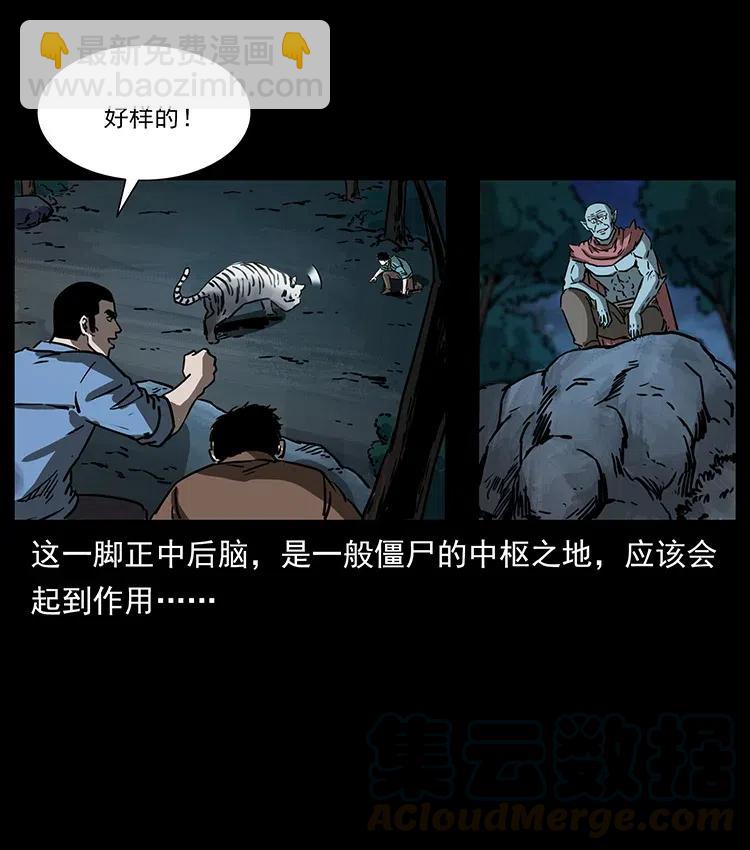 342 白毛僵尸28