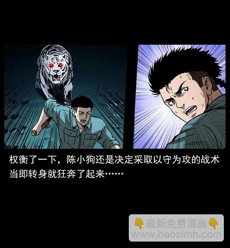 342 白毛僵尸33