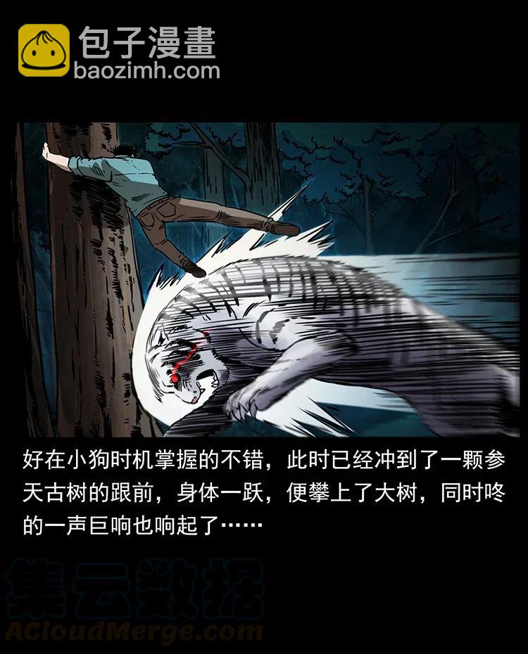 342 白毛僵尸36