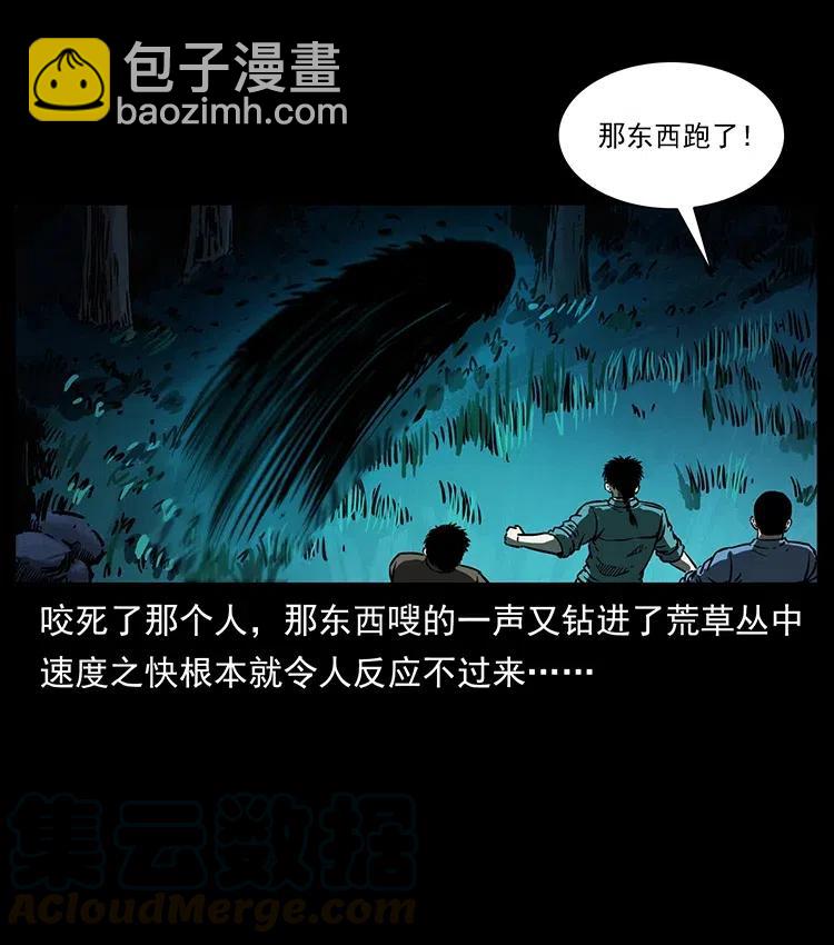 342 白毛僵尸4