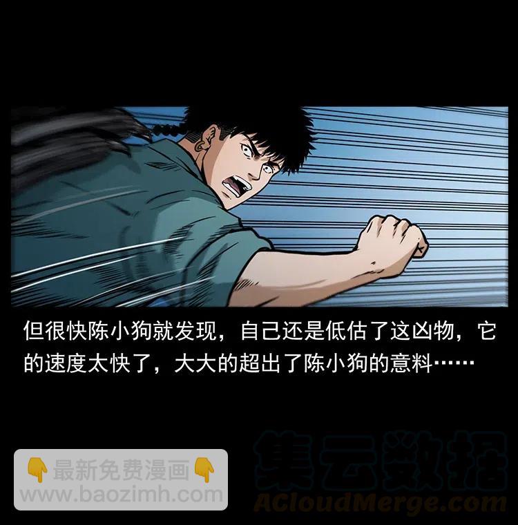 342 白毛僵尸40