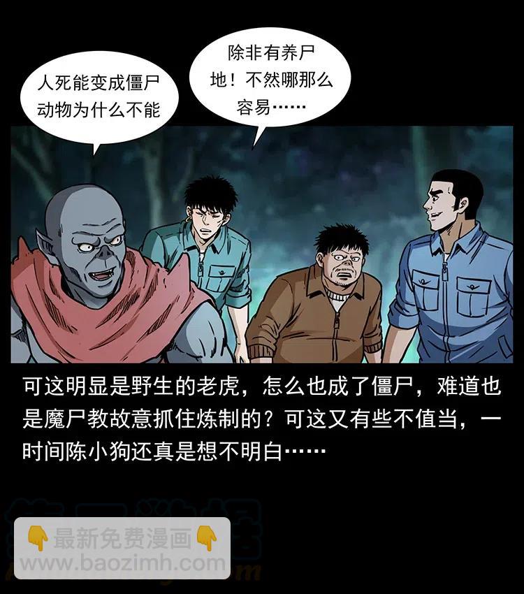 342 白毛僵尸60
