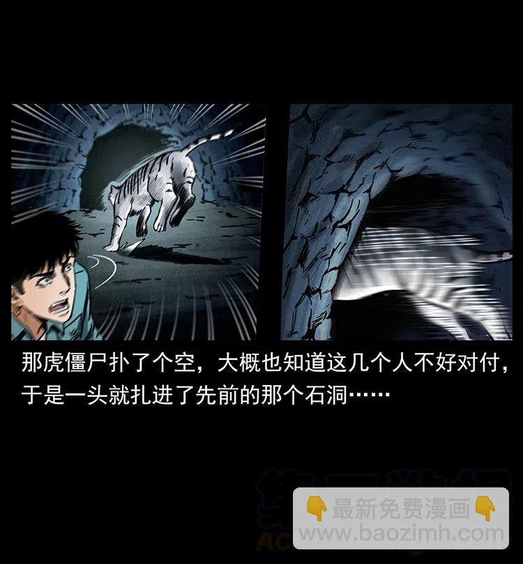 342 白毛僵尸64