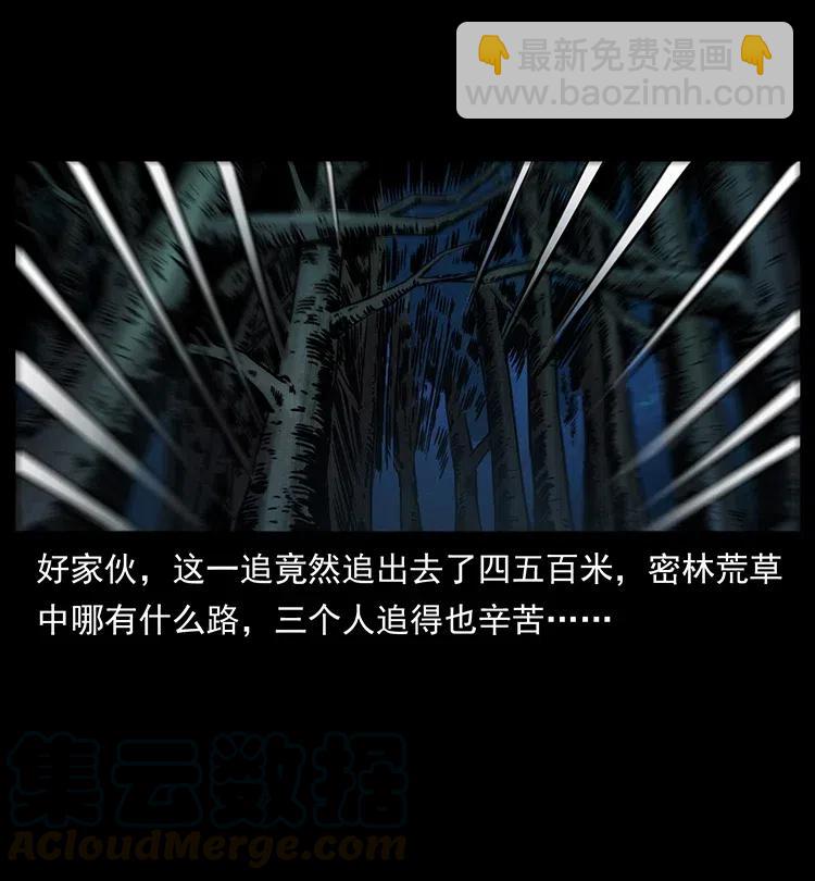 342 白毛僵尸8