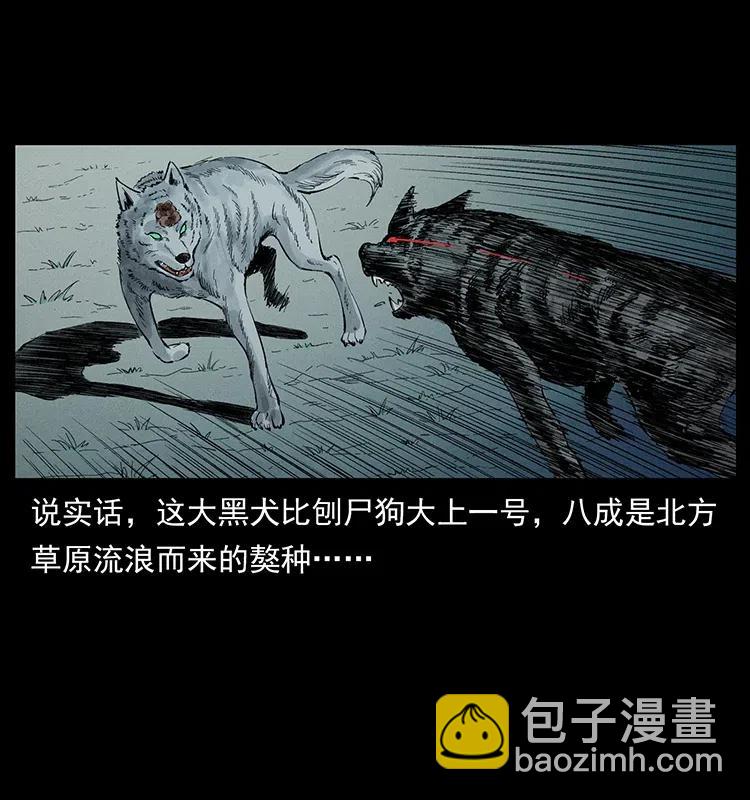 344 刨尸狗&大冥皇13