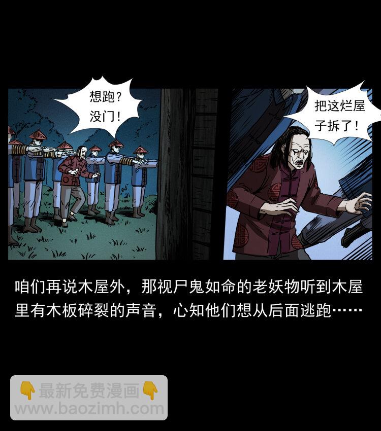 356 飞僵11
