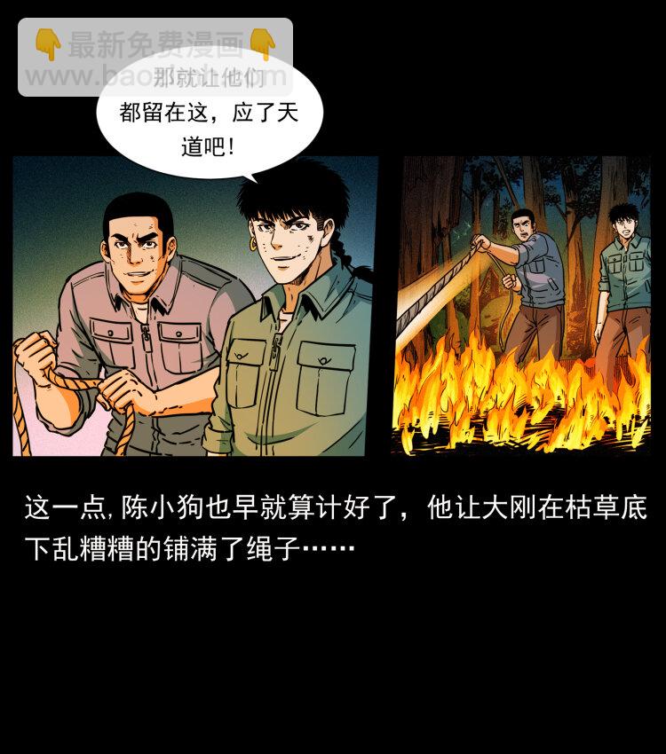 356 飞僵43