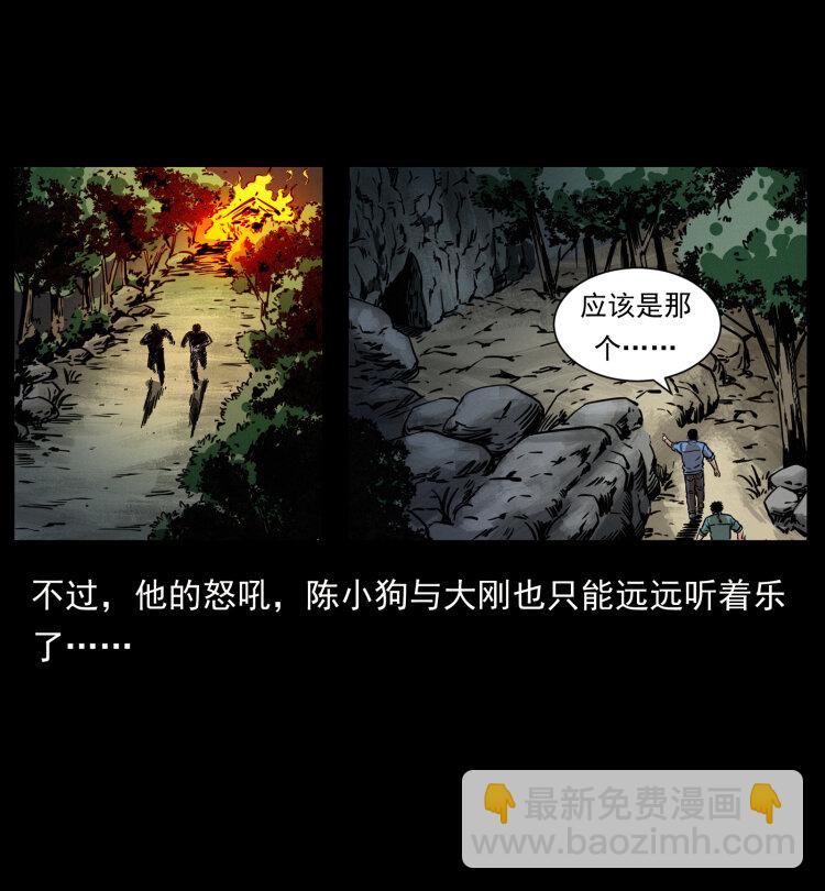 356 飞僵56