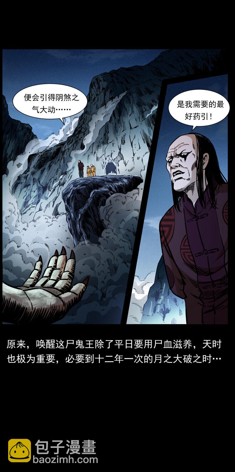 356 飞僵80