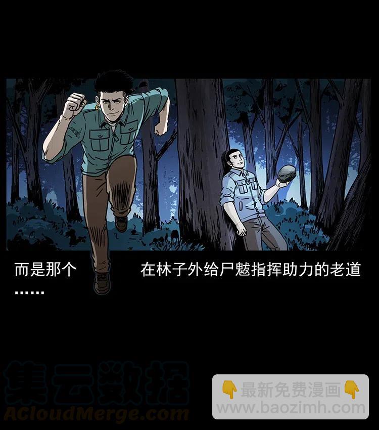 363 丹鼎45