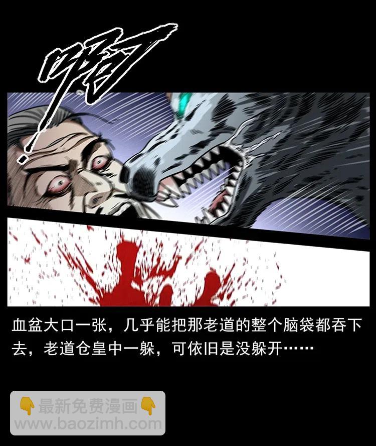 365 死的诅咒34