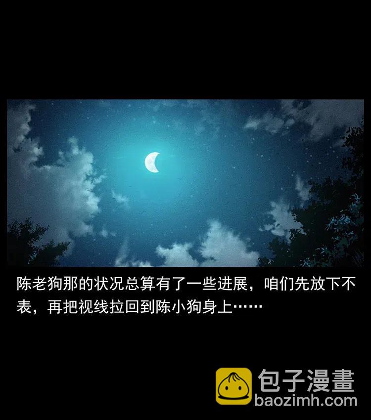 370 乌翅凤凰1