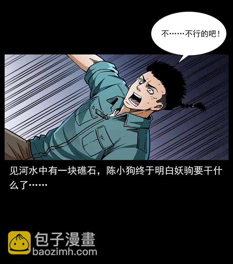 370 乌翅凤凰13