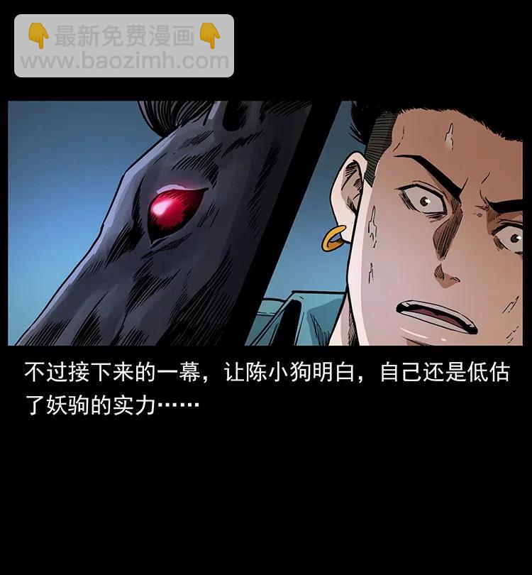 370 乌翅凤凰16