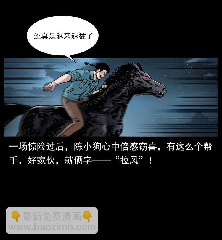 370 乌翅凤凰20