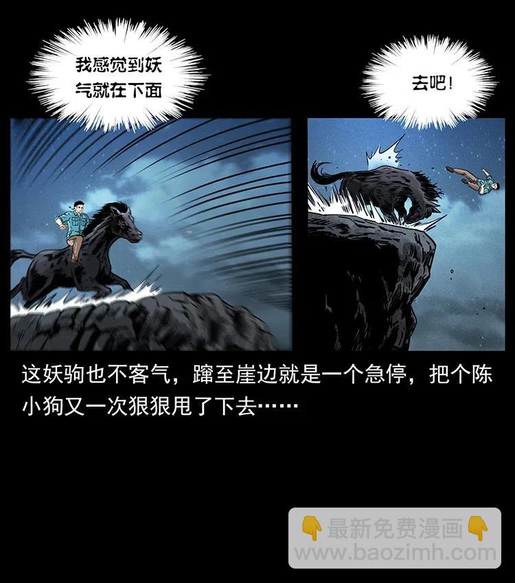 370 乌翅凤凰22