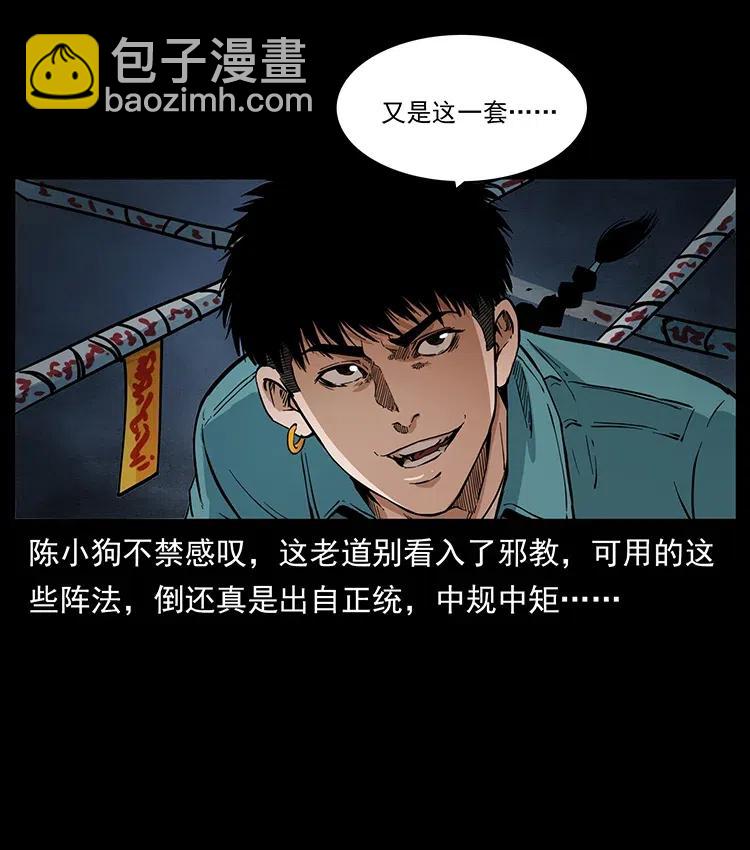 370 乌翅凤凰29