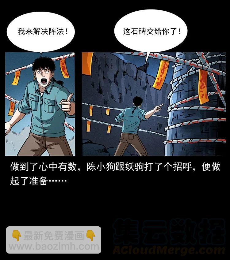370 乌翅凤凰30