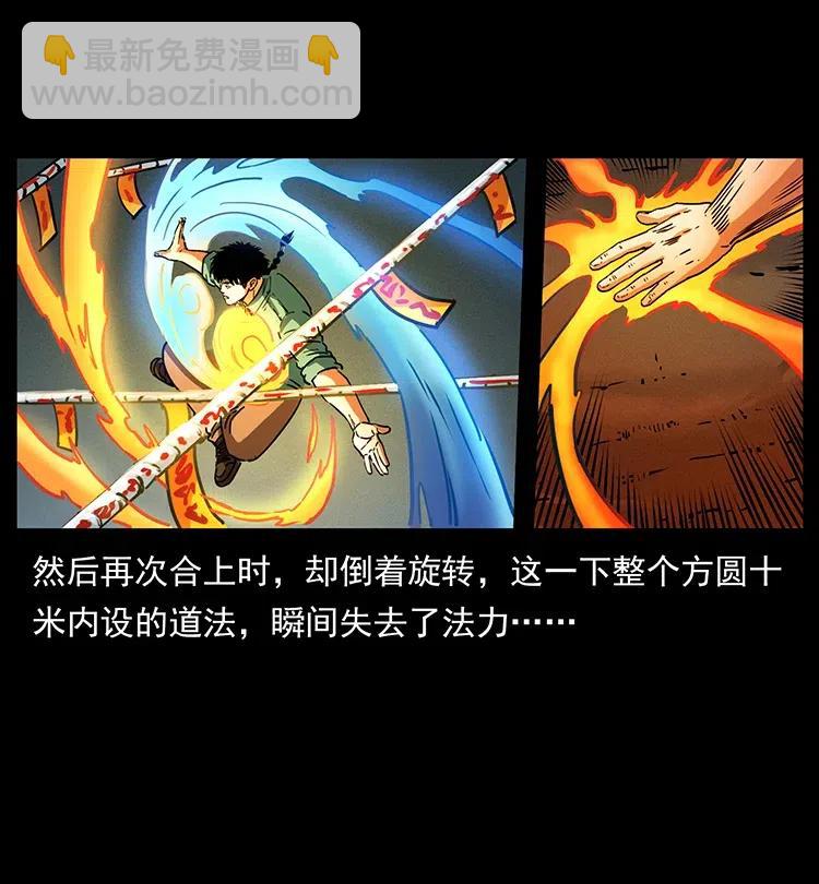 370 乌翅凤凰35