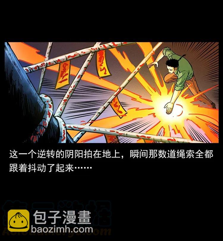 370 乌翅凤凰36