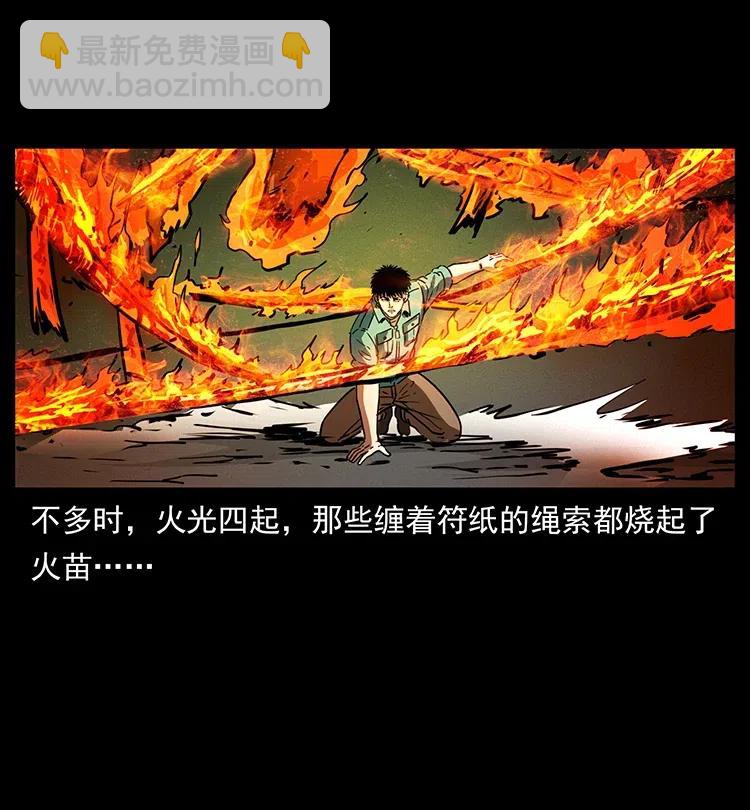 370 乌翅凤凰37