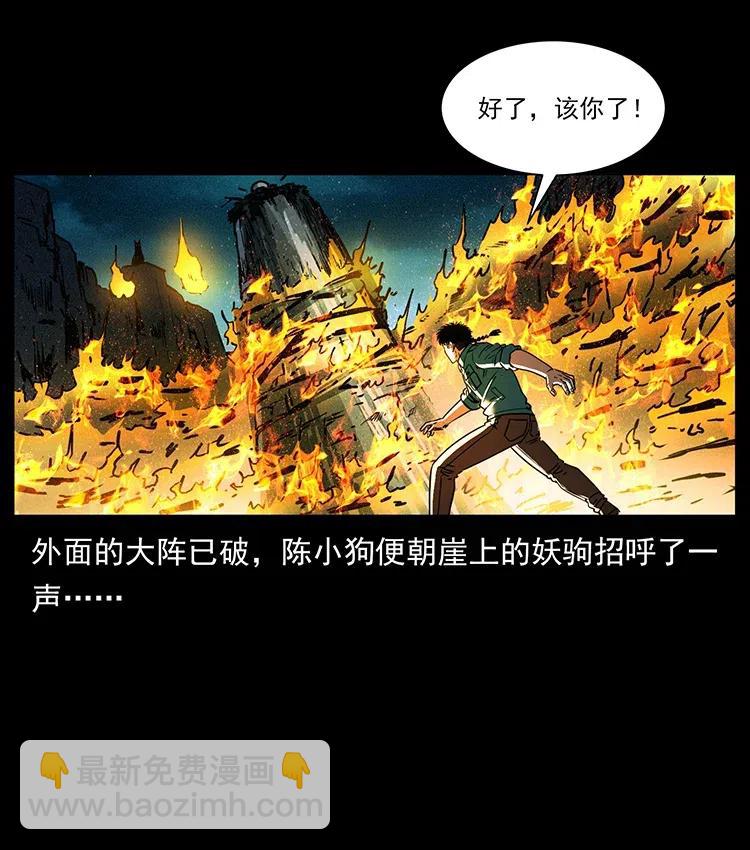 370 乌翅凤凰38