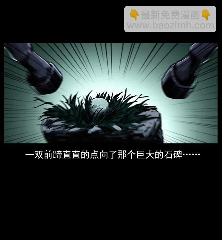 370 乌翅凤凰40