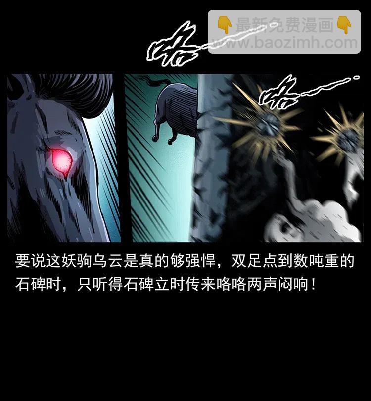 370 乌翅凤凰41