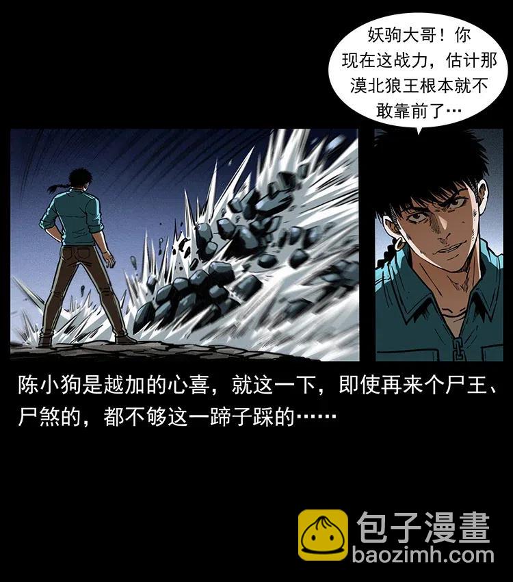 370 乌翅凤凰43