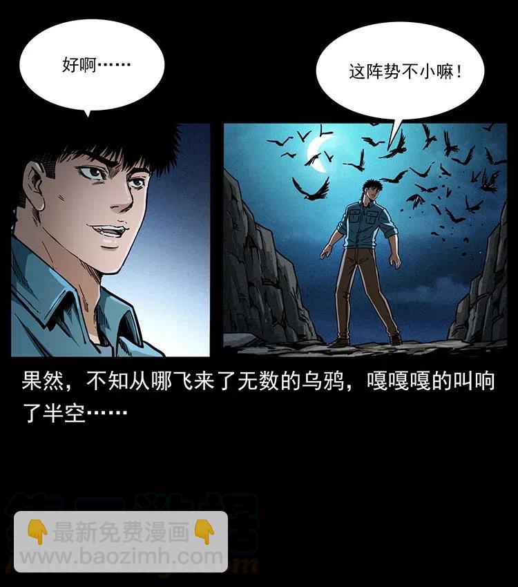 370 乌翅凤凰45