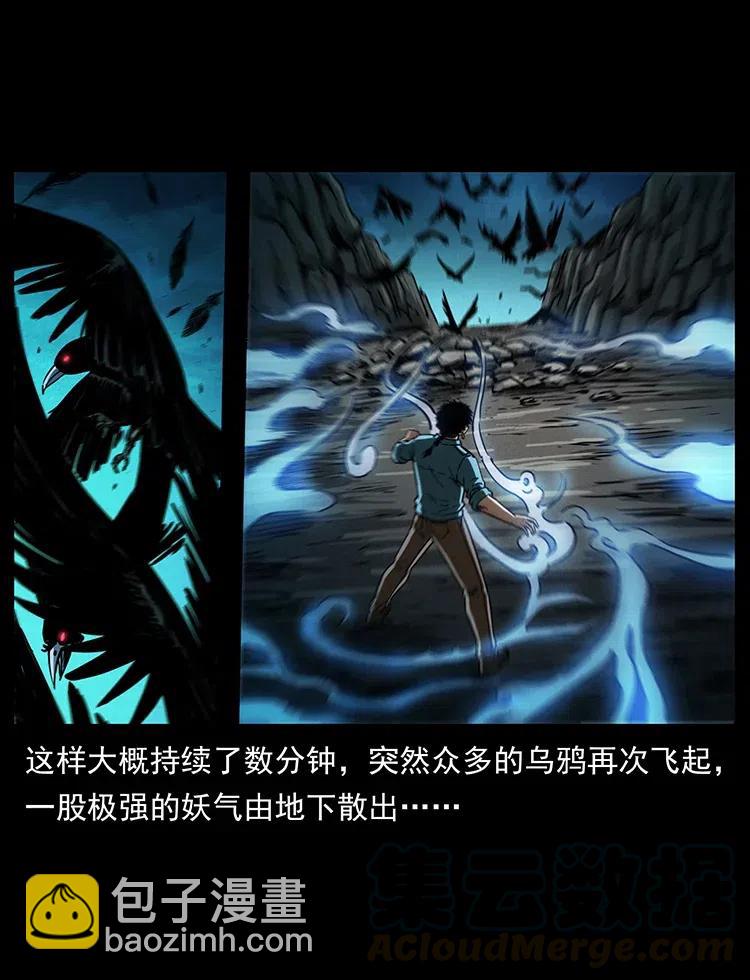 370 乌翅凤凰48