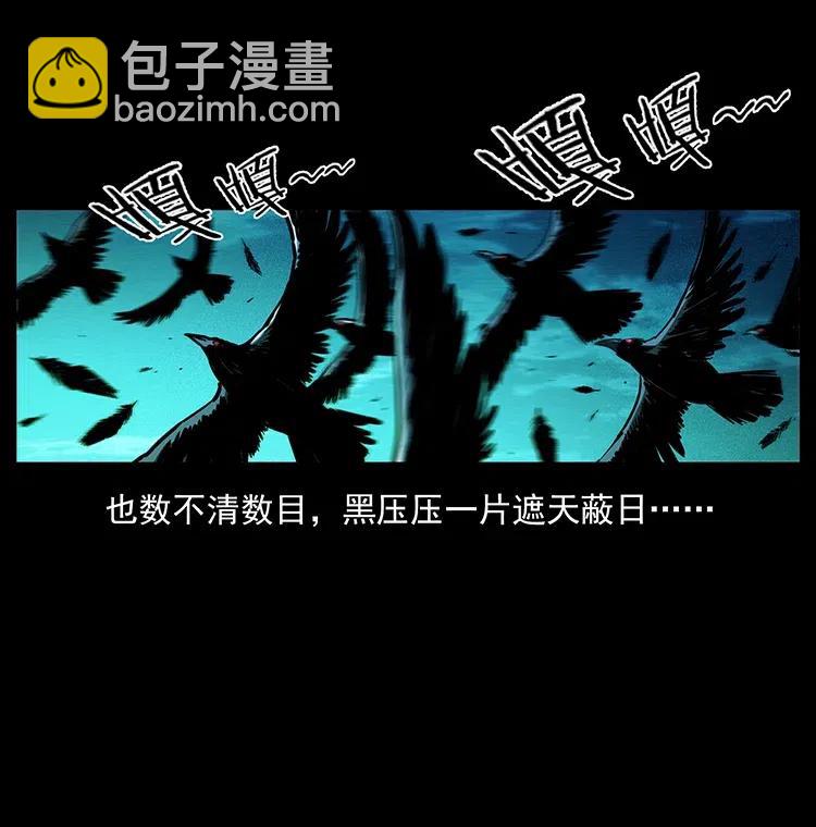 370 乌翅凤凰50