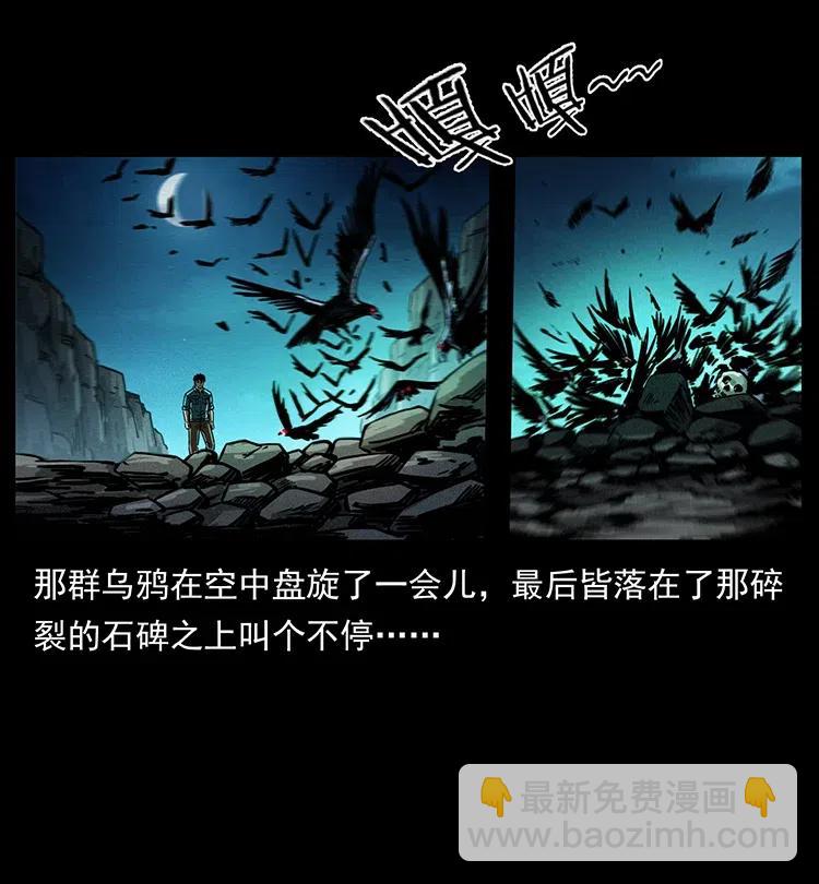370 乌翅凤凰51
