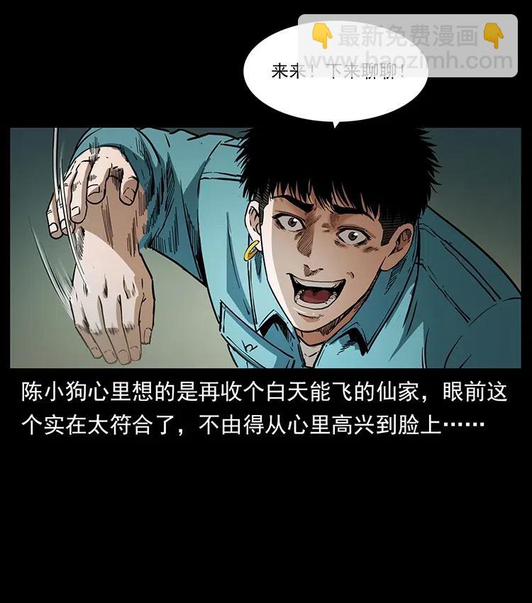 370 乌翅凤凰56