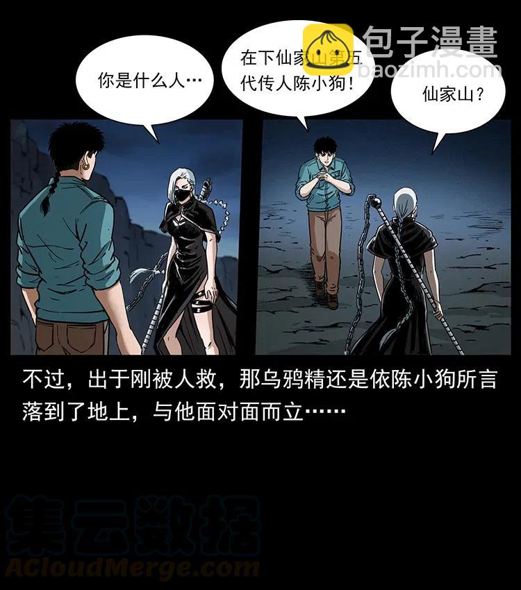 370 乌翅凤凰58