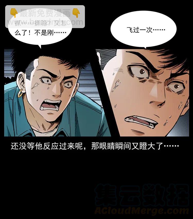 370 乌翅凤凰6