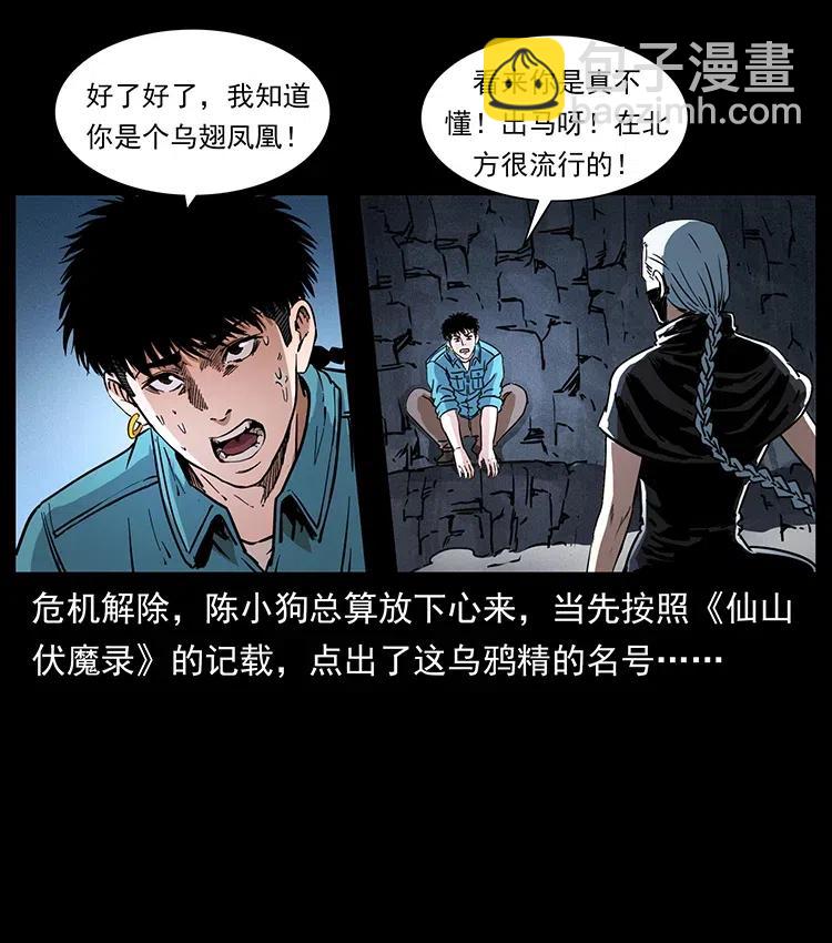 370 乌翅凤凰68