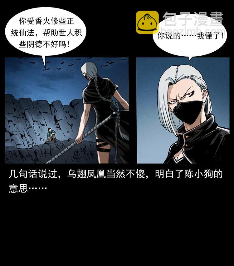 370 乌翅凤凰71