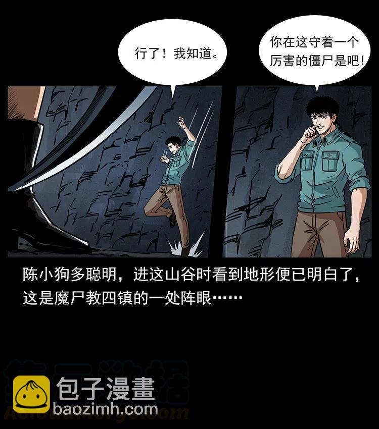 370 乌翅凤凰73