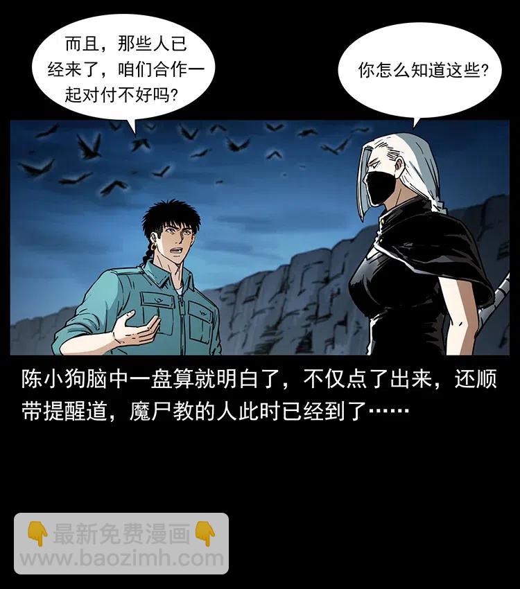 370 乌翅凤凰75