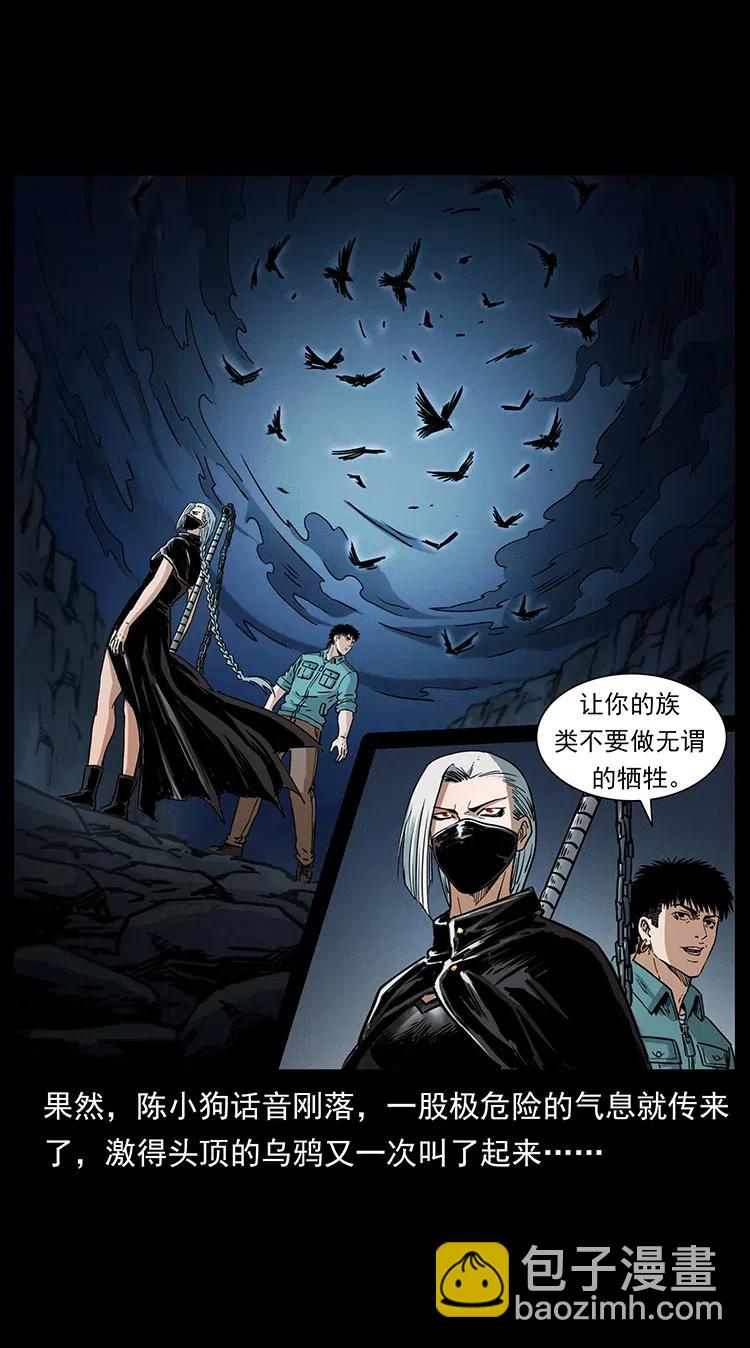 370 乌翅凤凰77