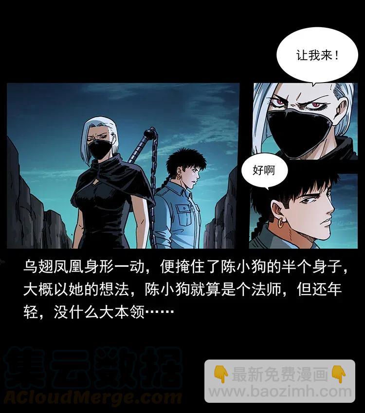 370 乌翅凤凰82