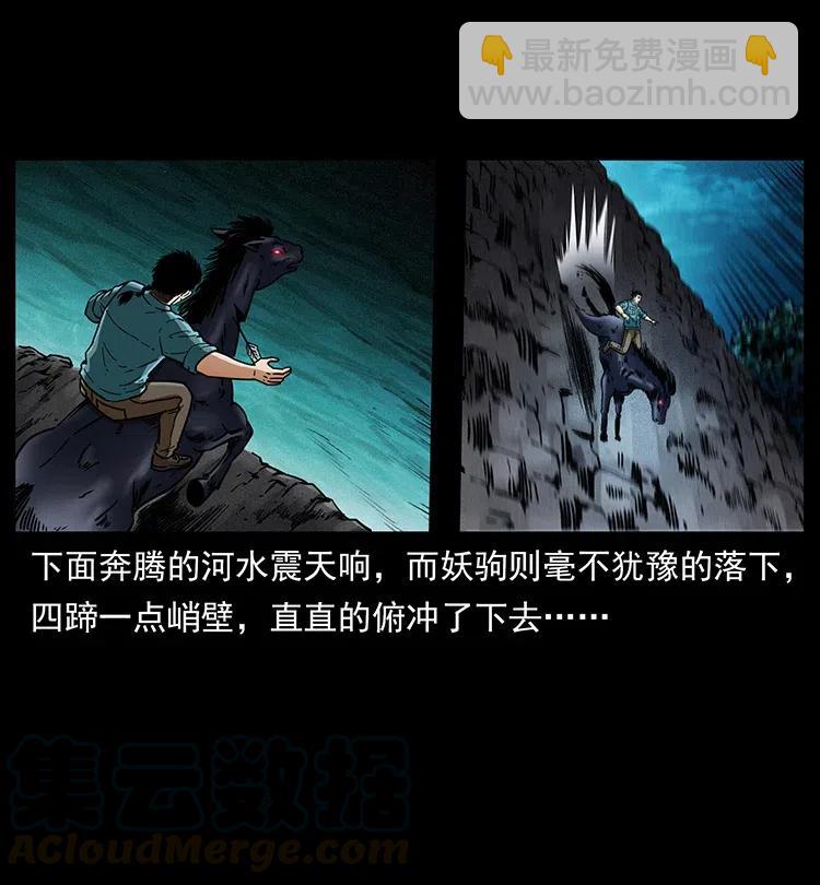 370 乌翅凤凰9