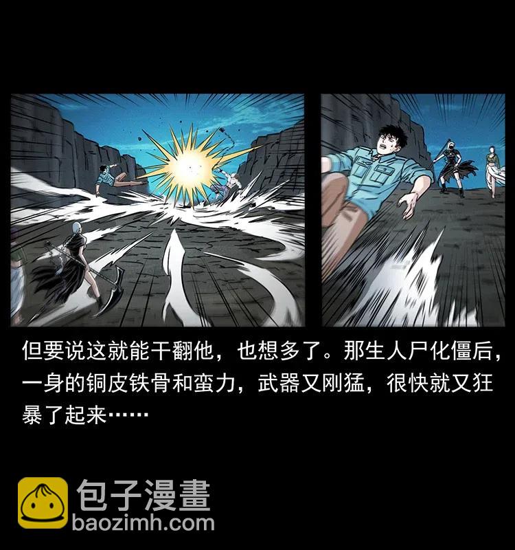 371 鸦81