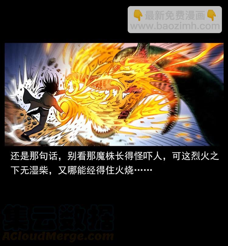 390 斩草除根48