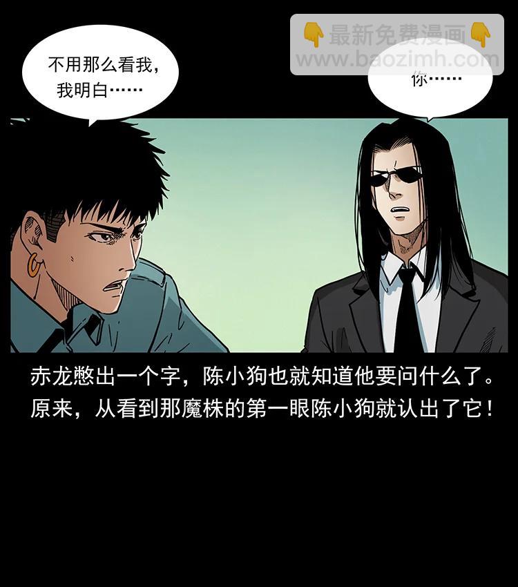 390 斩草除根60