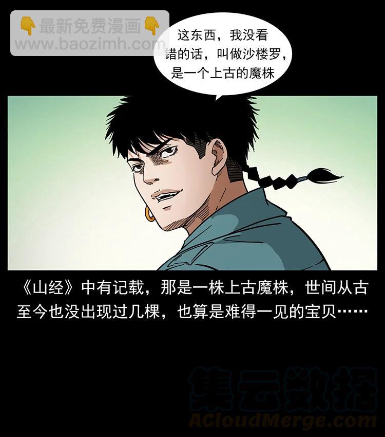 390 斩草除根61