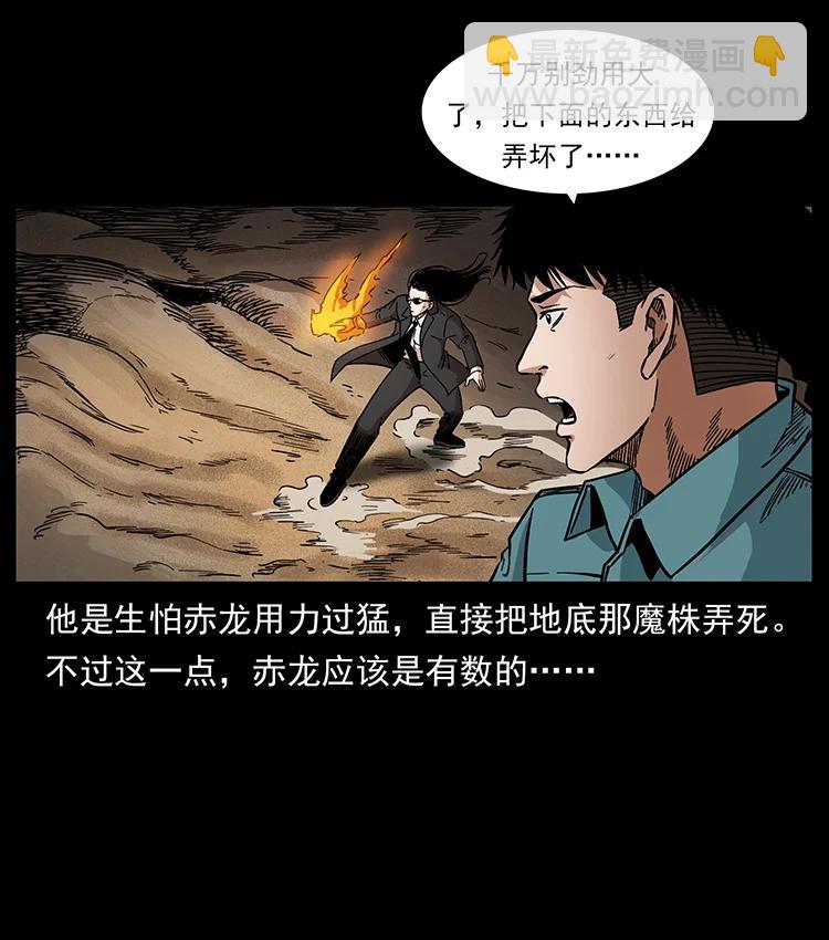 390 斩草除根66