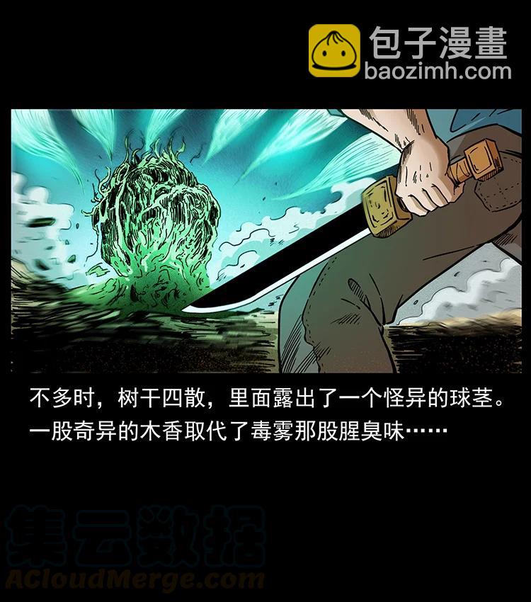 390 斩草除根79