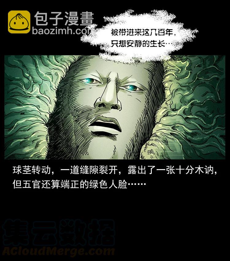 390 斩草除根82